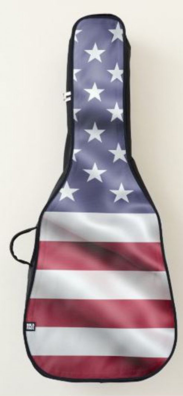 American Flag Guitar Case